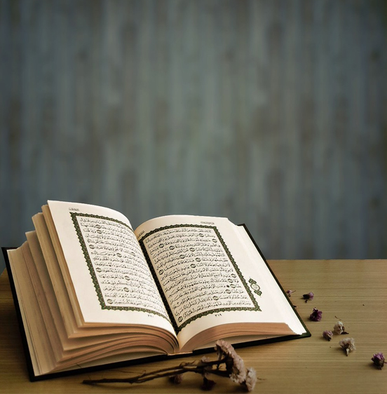 learn quran online with tajweed